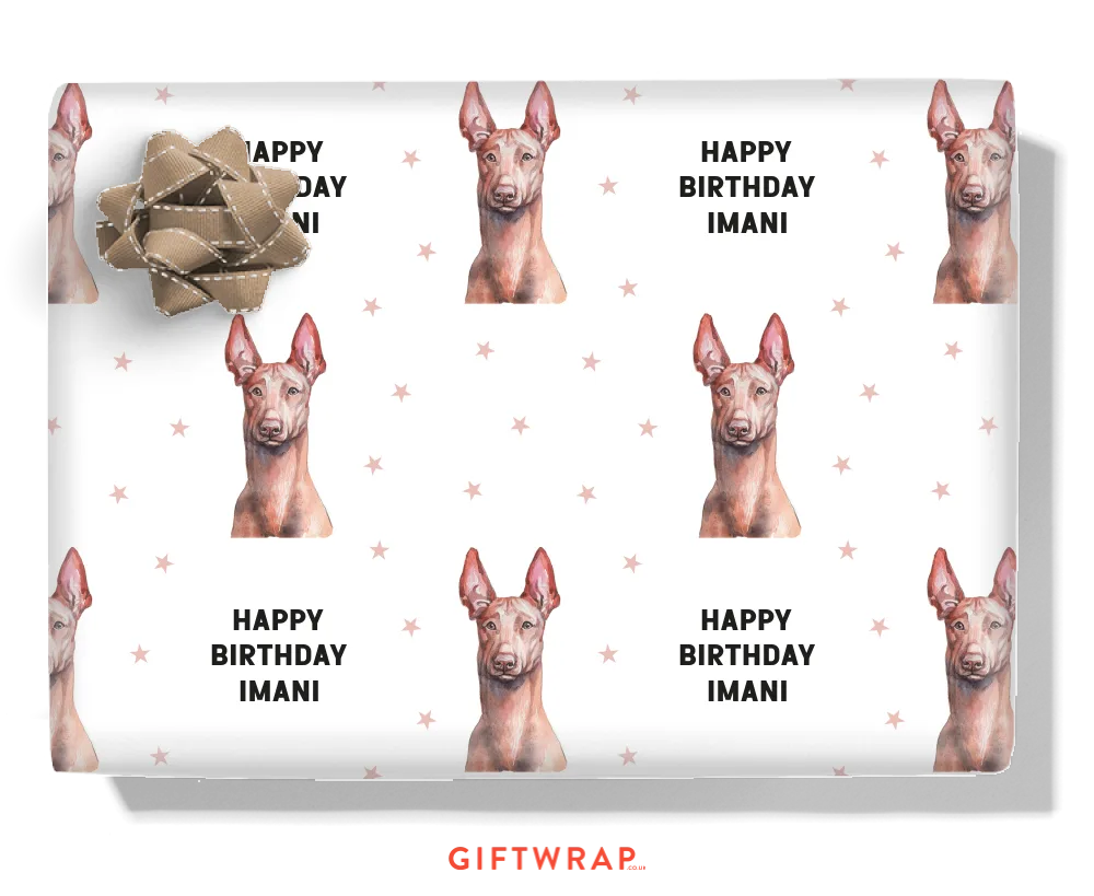 Pharaoh Hound Personalised Wrapping Paper