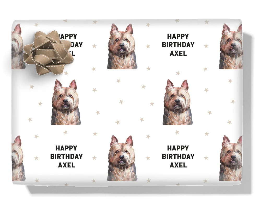Australian Terrier