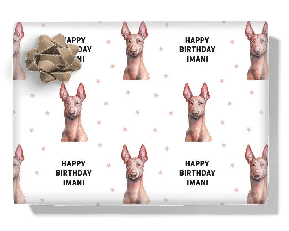 Pharaoh Hound