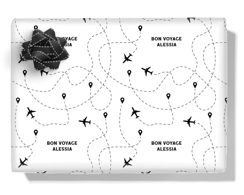 Plane Travel