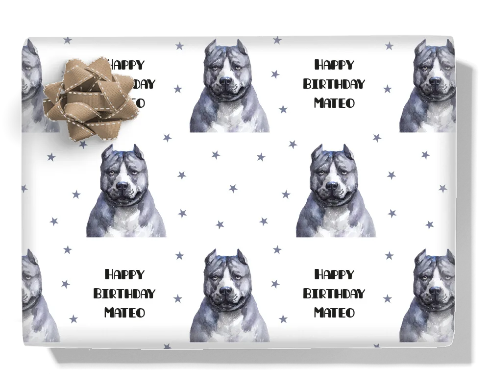 American Pit Bull Terrier