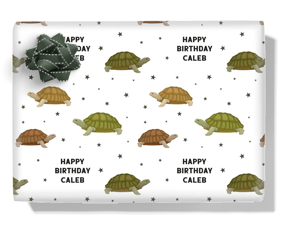 Tortoises