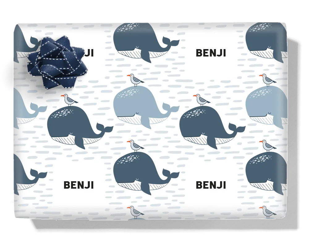 Whales & Seagulls