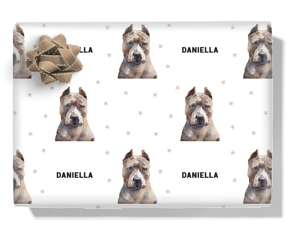 Pit Bull