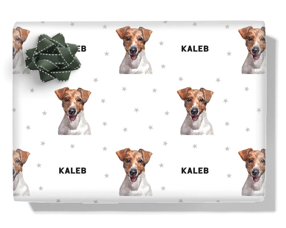 Jack Russell Terrier